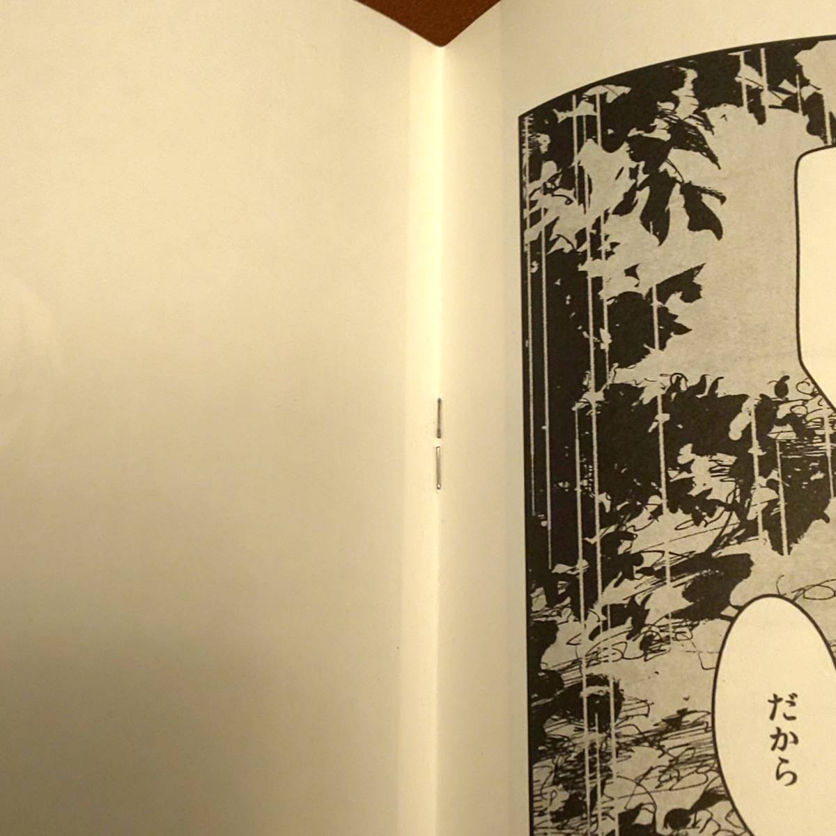 【吾可子(あかこ) / 徒野(あだしの)】『踏青(オールカラー漫画)』『ここでただいまを何度でも』『ときどき雨、のち』2015年３冊セットの画像9