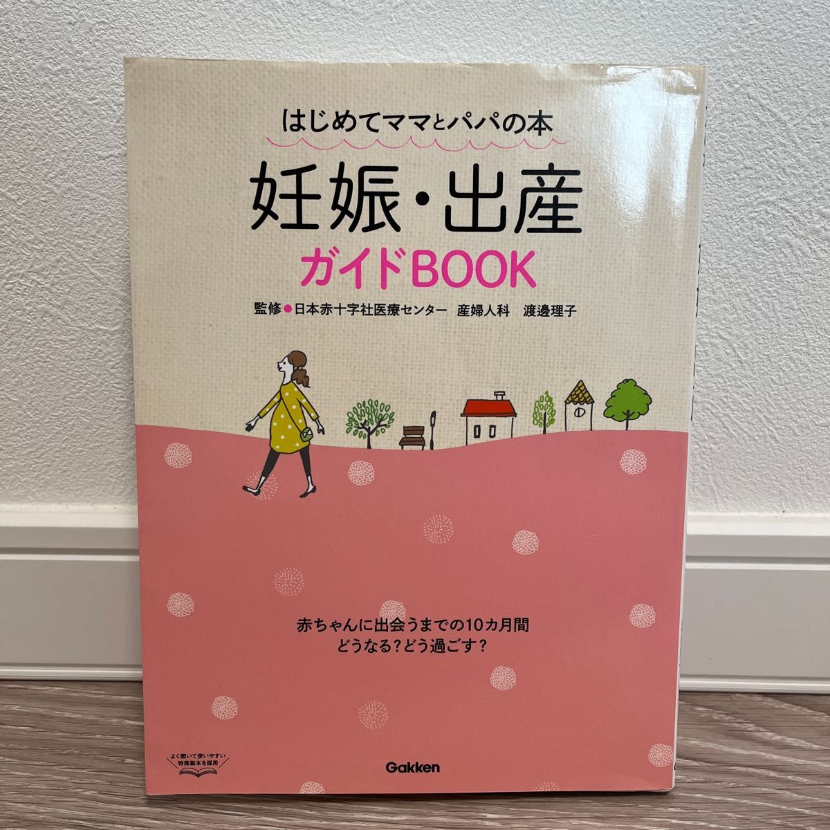 妊娠・出産ガイドＢＯＯＫ　はじめてママとパパの本 渡邊理子／監修