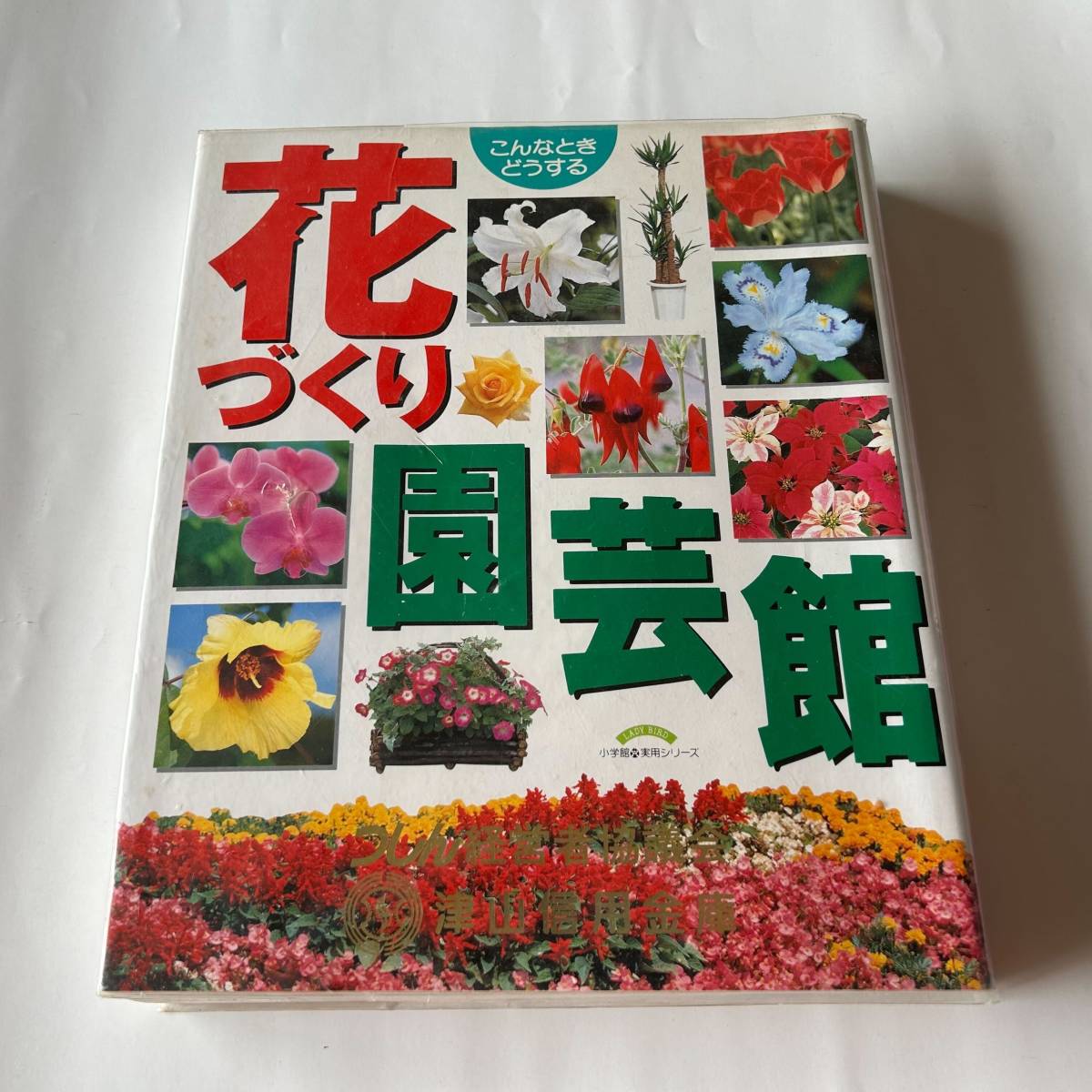  Shogakukan Inc. практическое использование Mucc такой время что делать цветок ... садоводство павильон 1998 год эпоха Heisei 10 год 2 месяц 20 день no. 6.