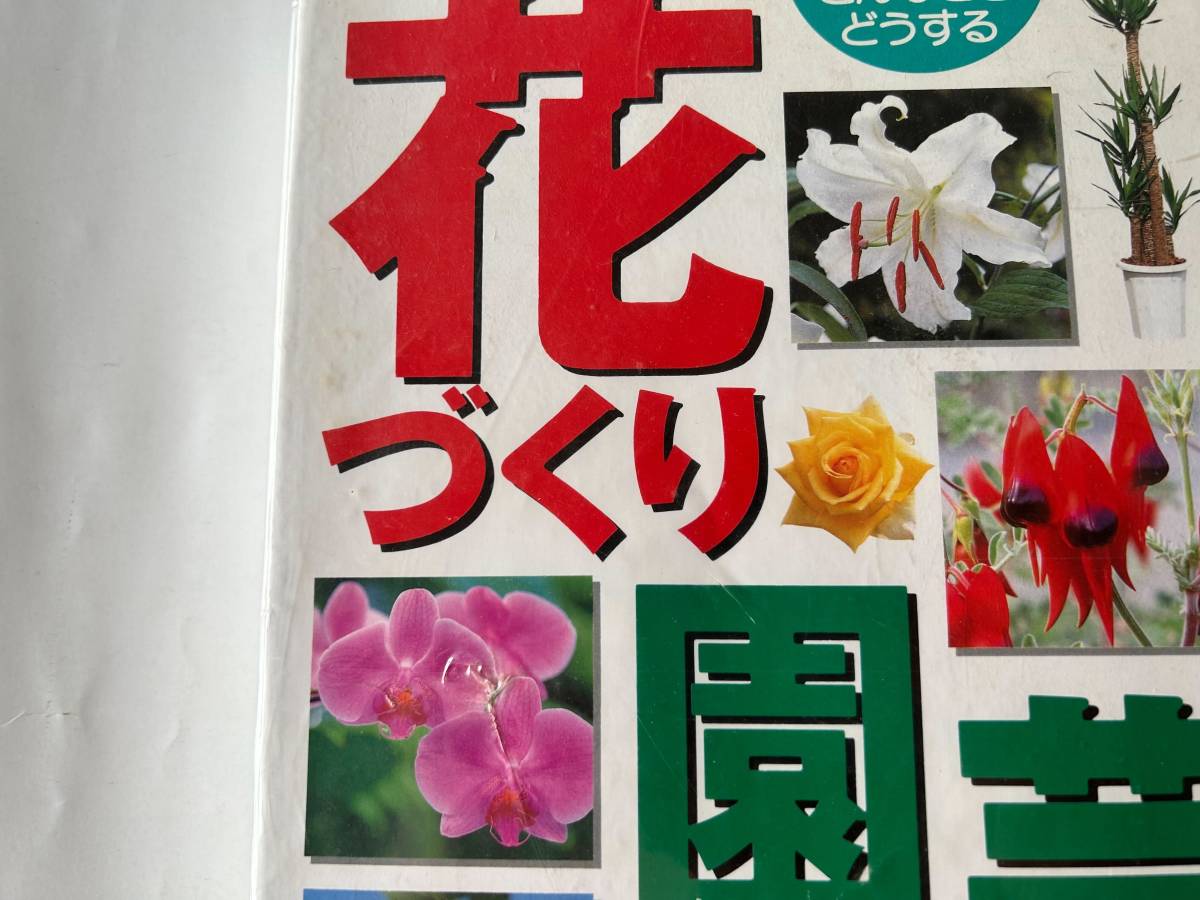  Shogakukan Inc. практическое использование Mucc такой время что делать цветок ... садоводство павильон 1998 год эпоха Heisei 10 год 2 месяц 20 день no. 6.