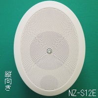 8Ω,10W. ornament speaker NZ-S12E. even OK, low impedance broadcast for speaker 