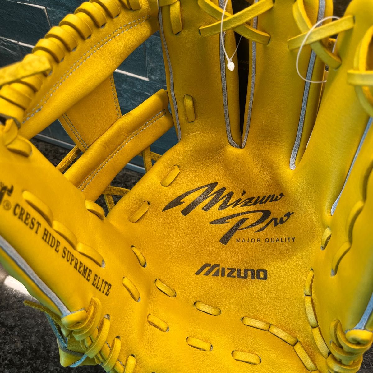 MIZUNO Pro 【専用グラブ袋付き】 ミズノプロ 硬式用グラブ 内野手用