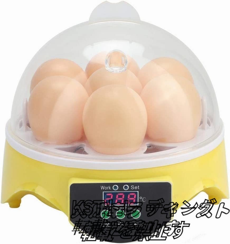  специальная цена автоматика . яйцо контейнер in kyu Beta -7 шт автоматика температура управление простой функционирование цифровой отображать hi ширина рождение ребенок образование для маленький размер куриное яйцо a Hill для бытового использования 