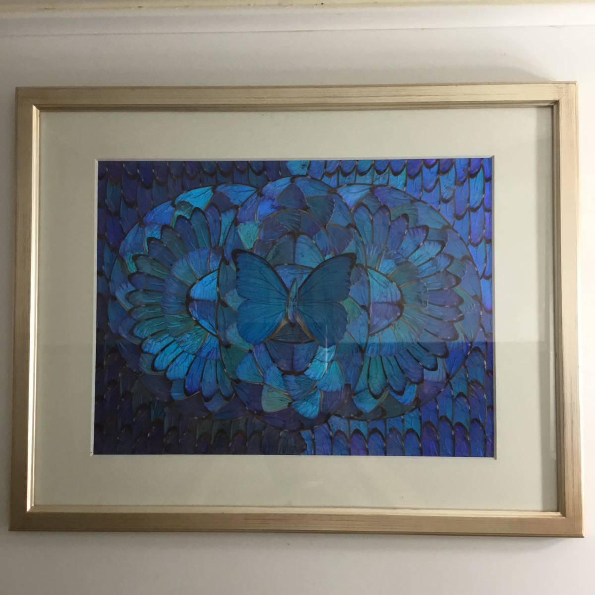2021年レディースファッション福袋 蝶画 羽根細工 蝶絵画額