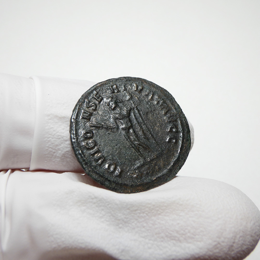 【古代ローマコイン】Maximian（マクシミアヌス）クリーニング済 ブロンズコイン 銅貨 アントニニアヌス(6fCZUMxChT)_画像8