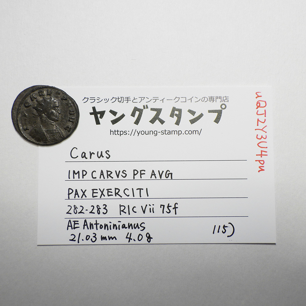 【古代ローマコイン】Carus（カルス）クリーニング済 ブロンズコイン 銅貨 アントニニアヌス(uQJ2Y3U4pu)_画像10