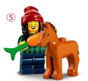 ☆LEGO(レゴ)☆ミニフィギュアシリーズ22☆ ⑤仔馬と少女 - JChere