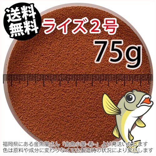 275-06-026 * pursuit none * trial day Kiyoshi circle .. charge laiz2 number (. under .)75g * mail service goldfish small shop -.- Fukuoka 