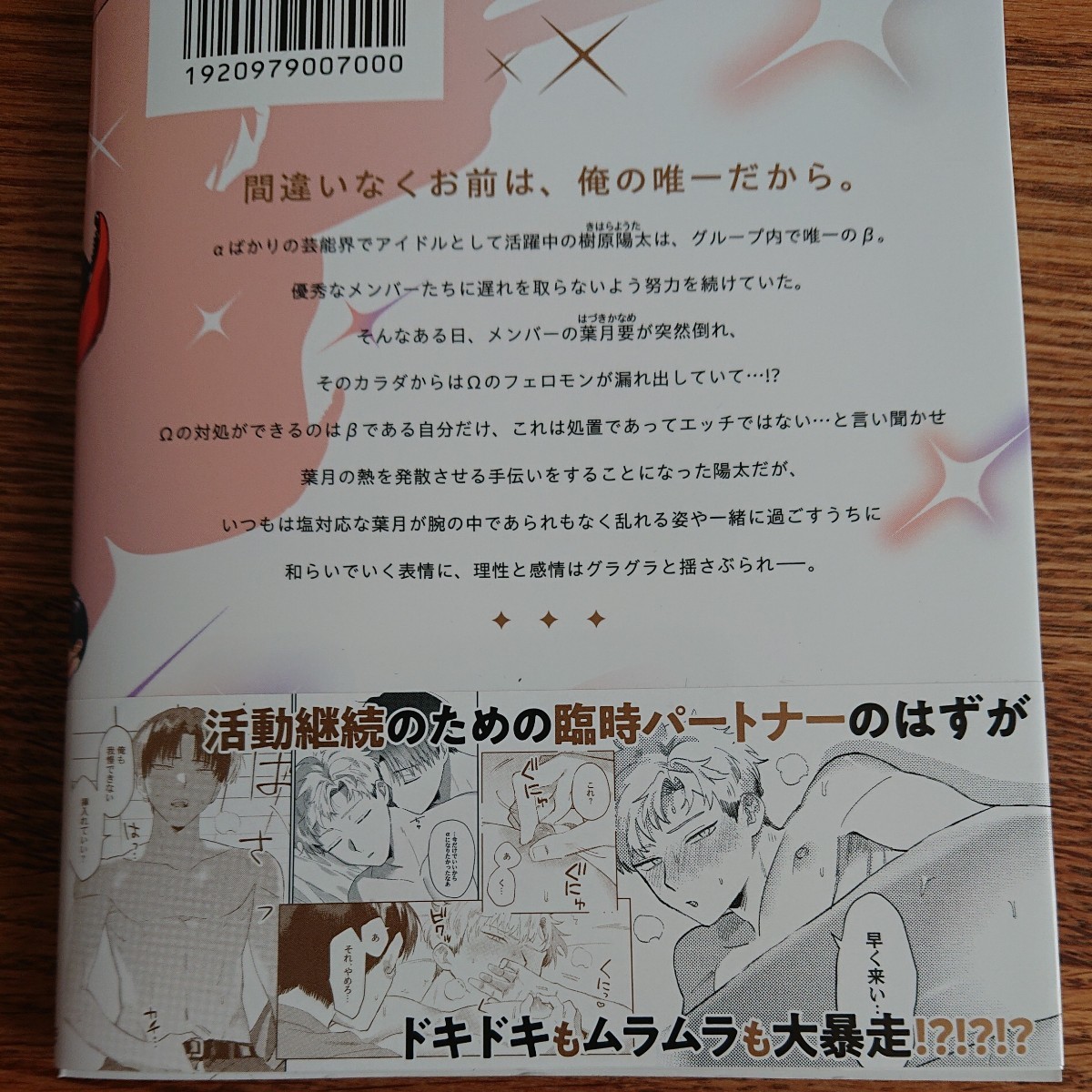 極美品☆俺だけのオメガ・スター/浜有師/BL 漫画/アニメイト特典ペーパー 初回特典ペーパー☆4冊同梱可能!!_画像2