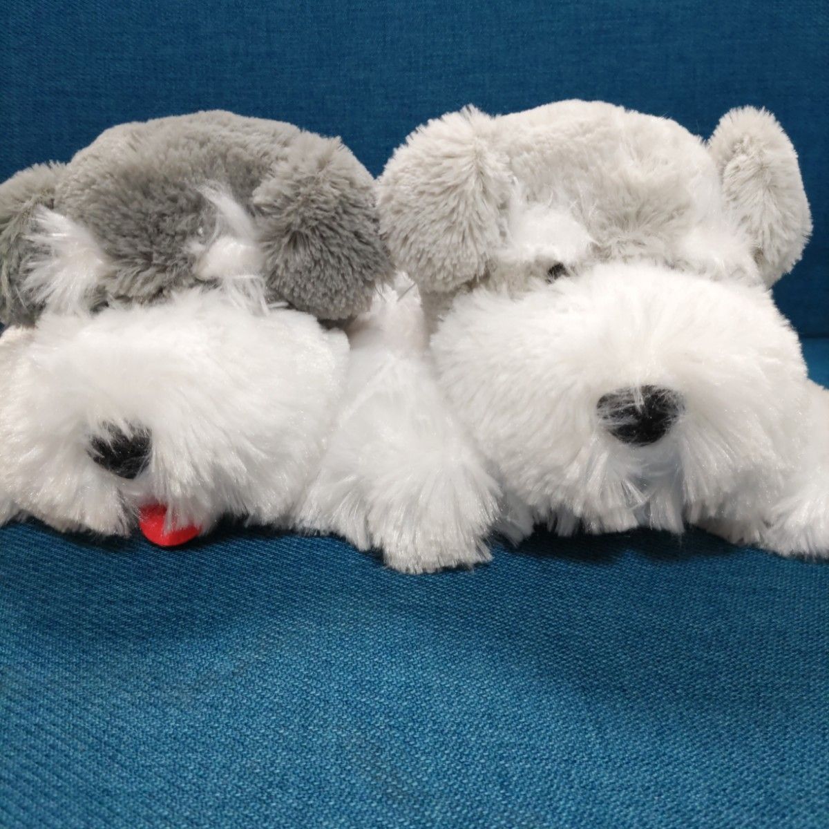 新品 くったりシュナウザー 寝そべり ぬいぐるみ セット|Yahoo 新品 くったりシュナウザー 寝そべり ぬいぐるみ セット|Yahoo