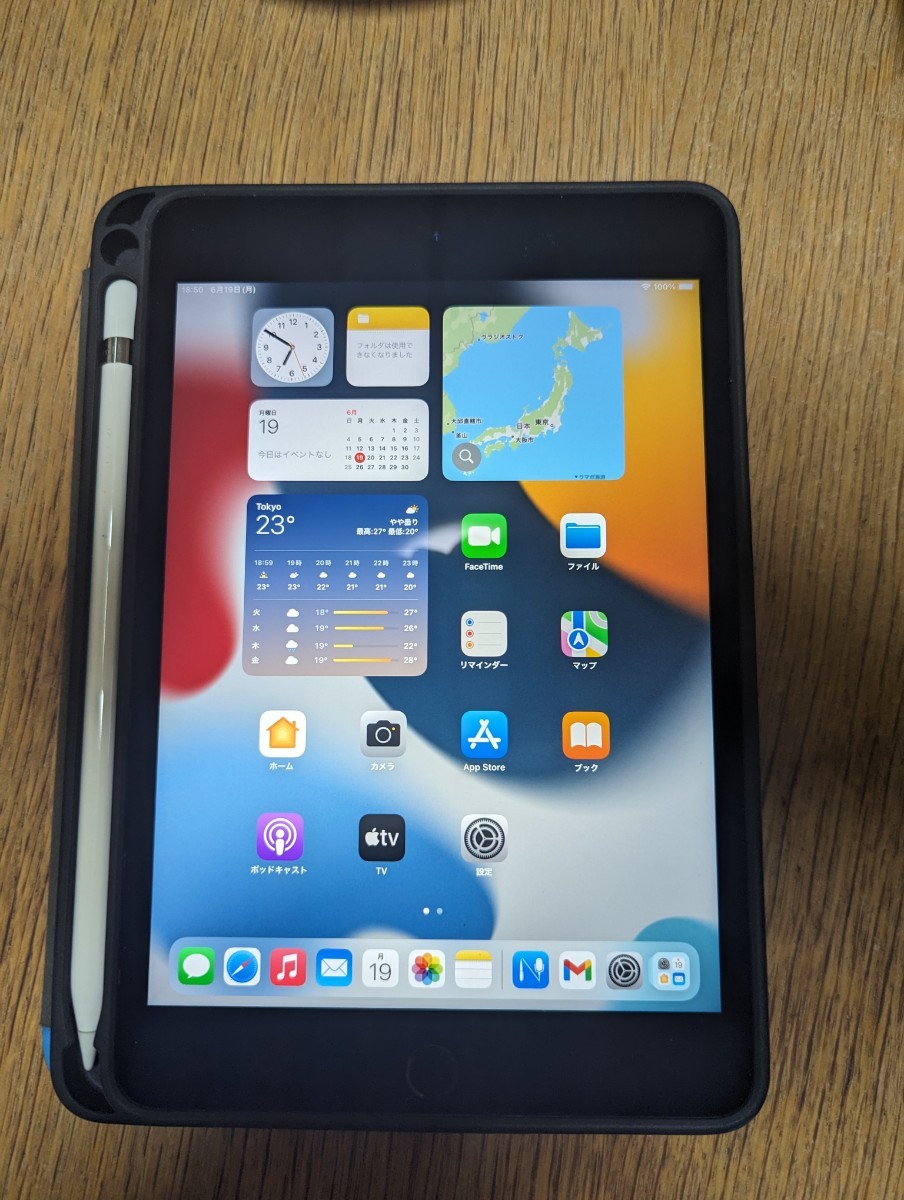 Apple iPad mini 第5世代 64G wi-fiモデル Apple pencil付！カバー付！_画像1