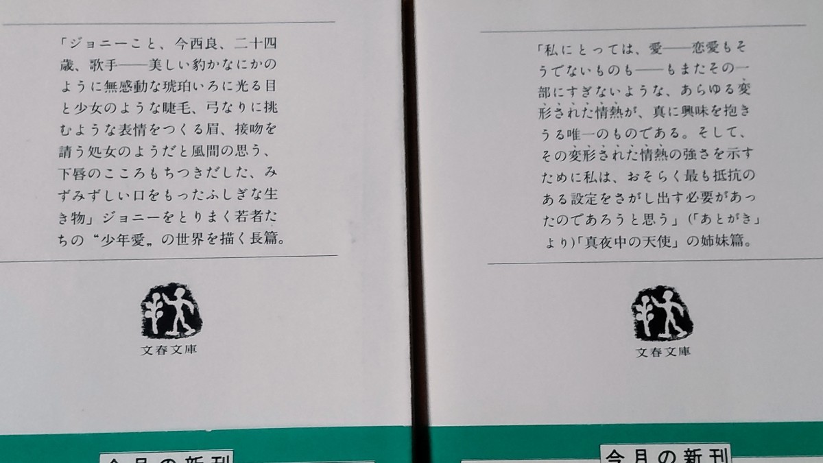 「翼あるもの」上巻下巻(全2巻) 栗本薫 竹宮恵子 文春文庫_画像2