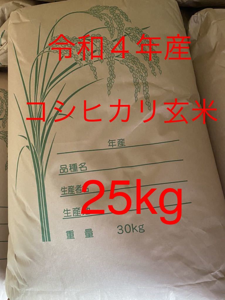 送料無料 令和4年産 採れたて新米コシヒカリ玄米25kg|PayPayフリマ