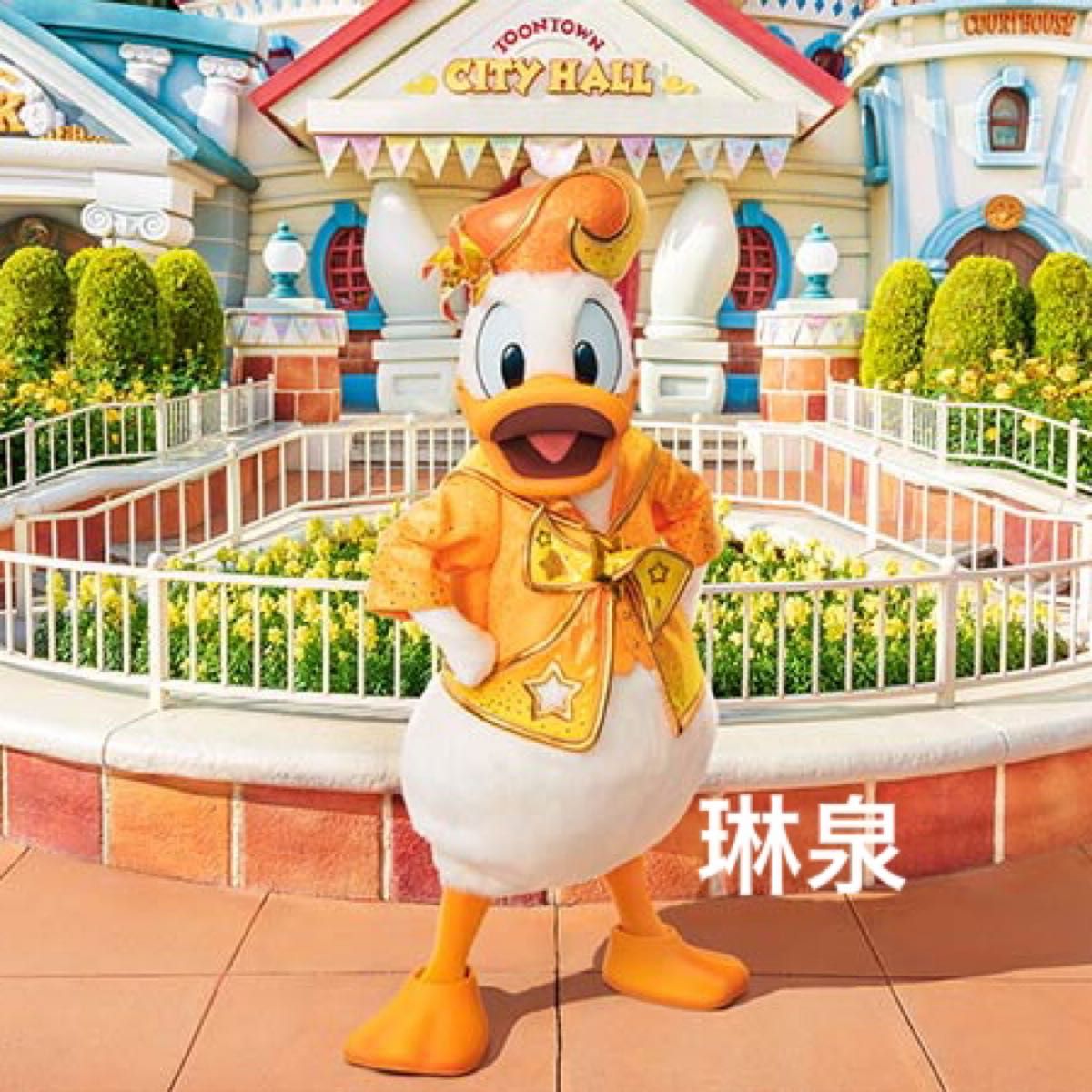 東京ディズニーランド 40周年 ドリームゴーラウンド ドナルド 東京ディズニーランド 40周年 ドリームゴーラウンド ドナルド