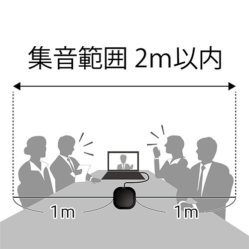 ミヨシ 平型無指向性マイク USB Type-C ブラック UMF-06/BK_画像5