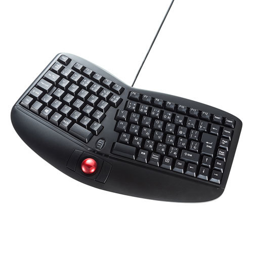 安価 サンワサプライ エルゴノミクスキーボード SKB-ERG5BK ノート