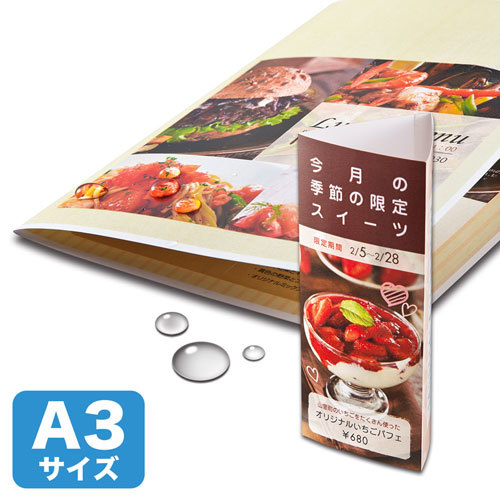 【5個セット】 サンワサプライ カラーレーザー用 耐水紙・特厚 A3サイズ LBP-WPF22MDPN-A3X5