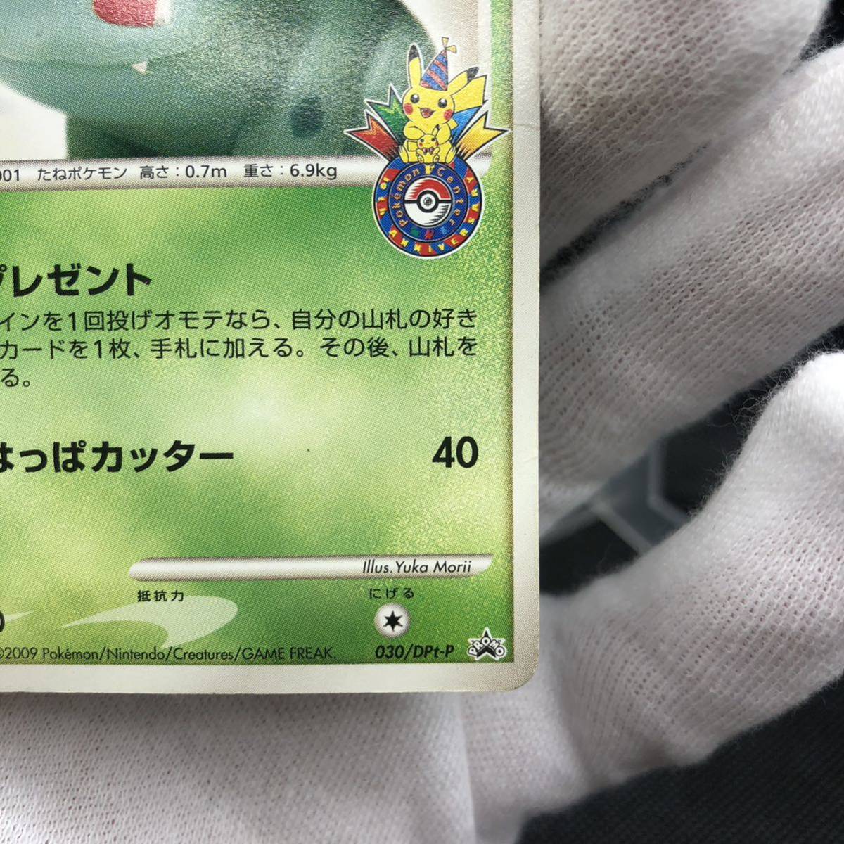 ポケモンカード フシギダネ ポケモンセンター 10周年 プロモ ポケモンカード フシギダネ ポケモンセンター 10周年 プロモ