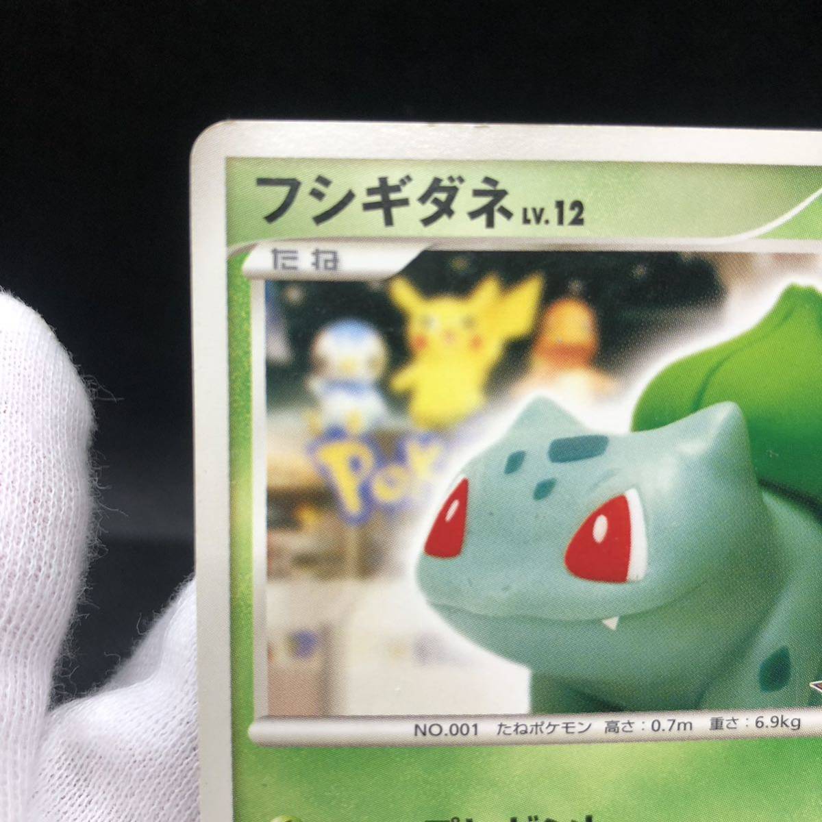 ポケモンカード フシギダネ ポケモンセンター 10周年 プロモ ポケモンカード フシギダネ ポケモンセンター 10周年 プロモ
