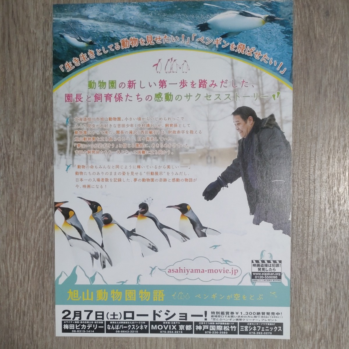 チラシ「旭山動物園物語」ペンギンB5_画像2