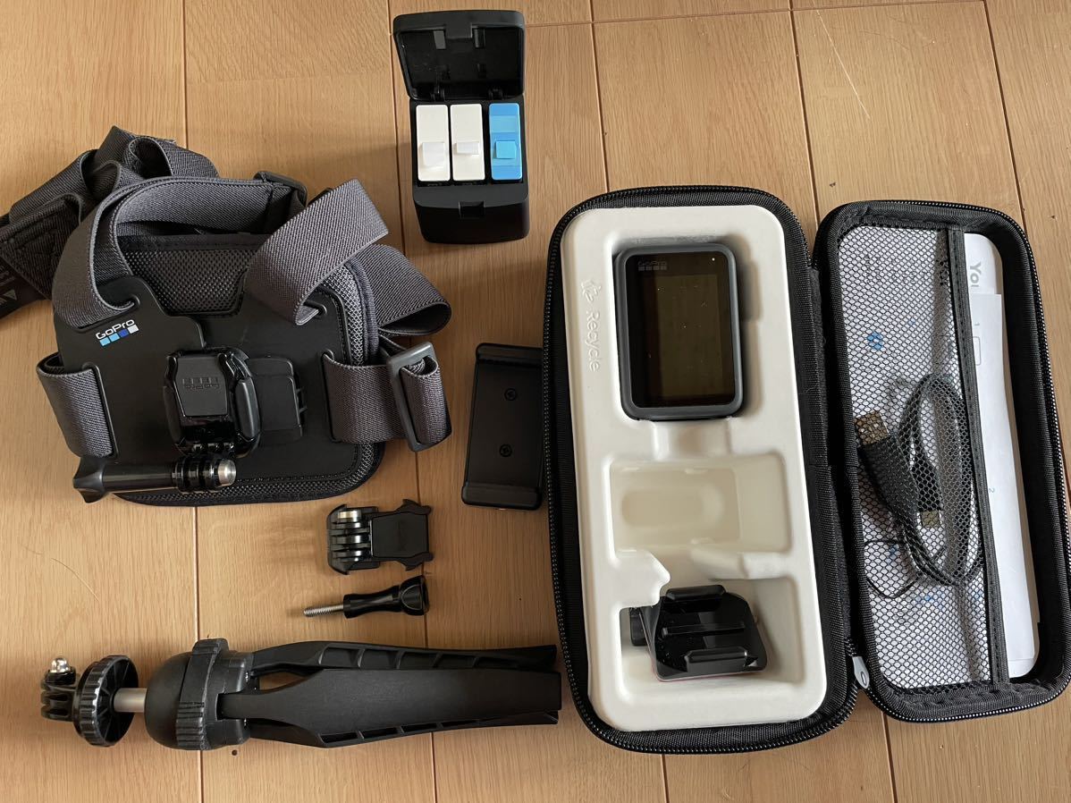 GoPro HERO8 Black バッテリー×2/デュアル充電器/フローティングケース