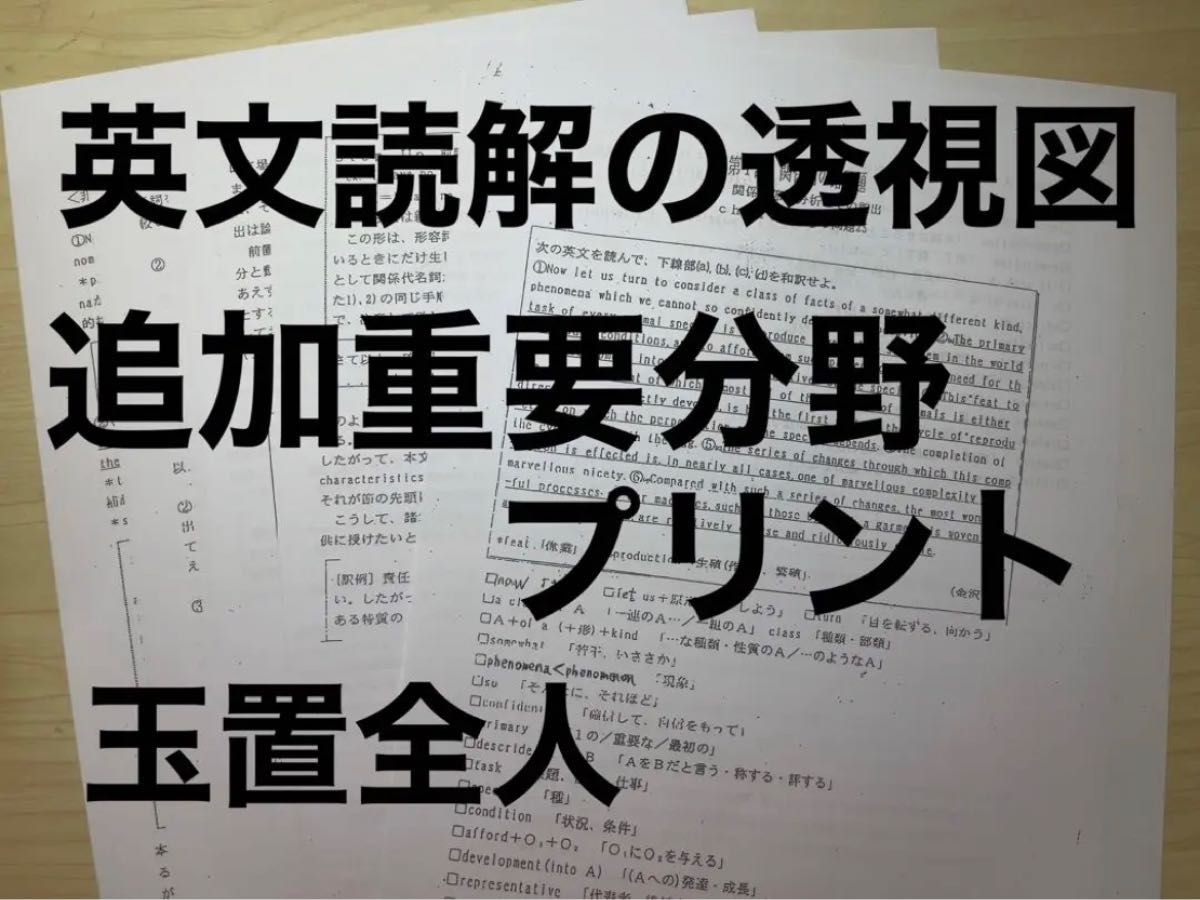 英文読解の透視図 追加重要分野プリント 玉置全人 河合塾 駿台代ゼミ