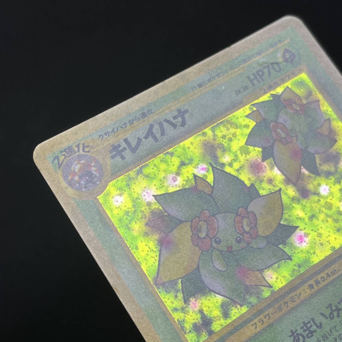 Bellossom 182 Neo Genesis Holo Pokemon Card Japanese ポケモン カード キレイハナ ホロ ポケカ 230625_画像6