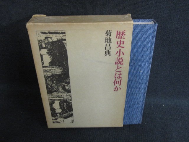 歴史小説とは何か　菊地昌典　箱破れ有・日焼け強/KCZJ_画像1