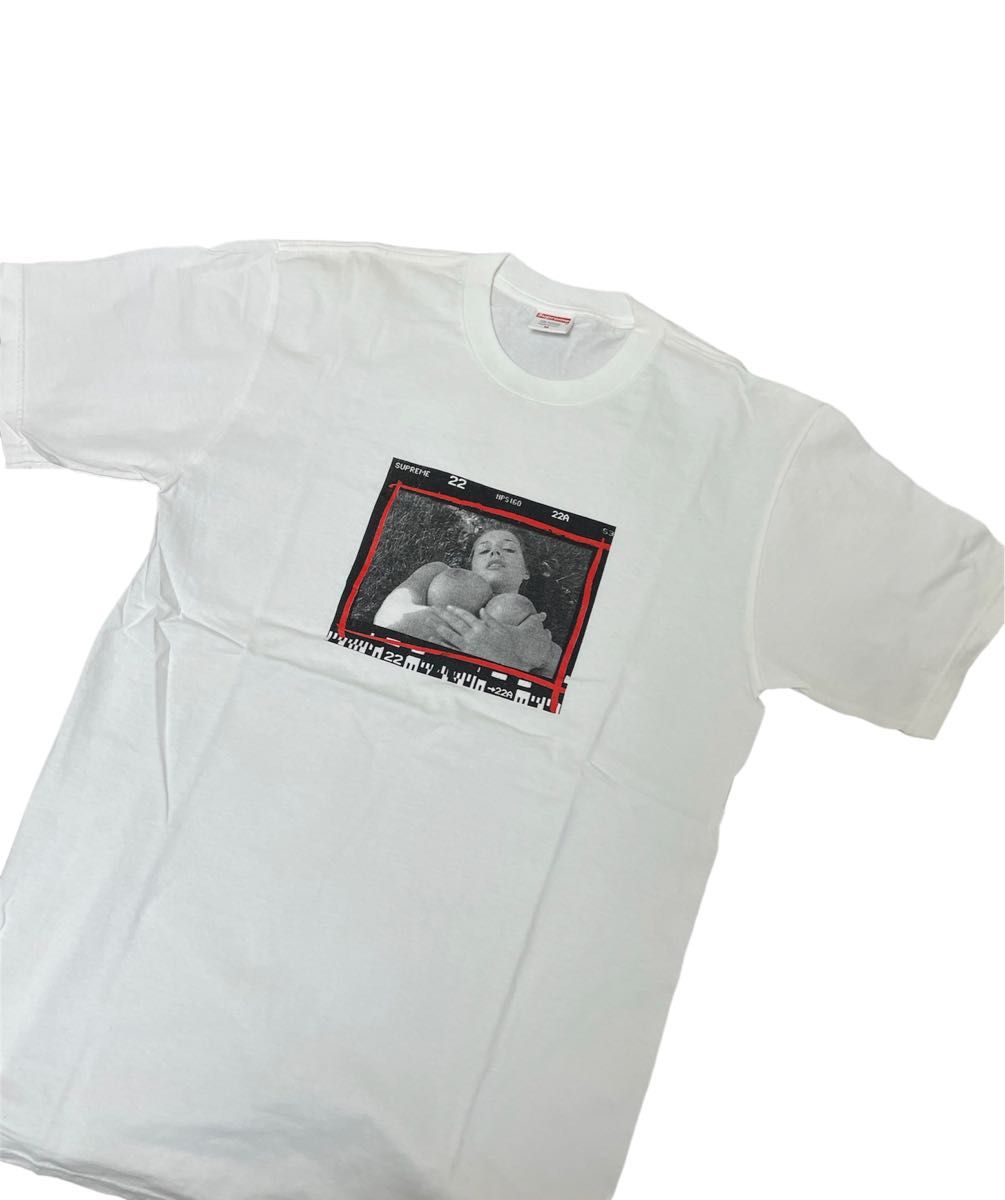 supreme tee photo t/激レア　シュプリーム　テリーリチャードソン　フォト tシャツ　ヌード