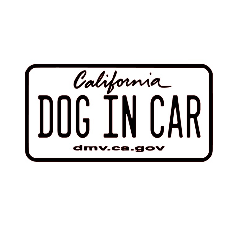 4 送料無料 Dog in car　白　ステッカー カッティングシール ドッグインカー 犬が乗っています CA California_画像1