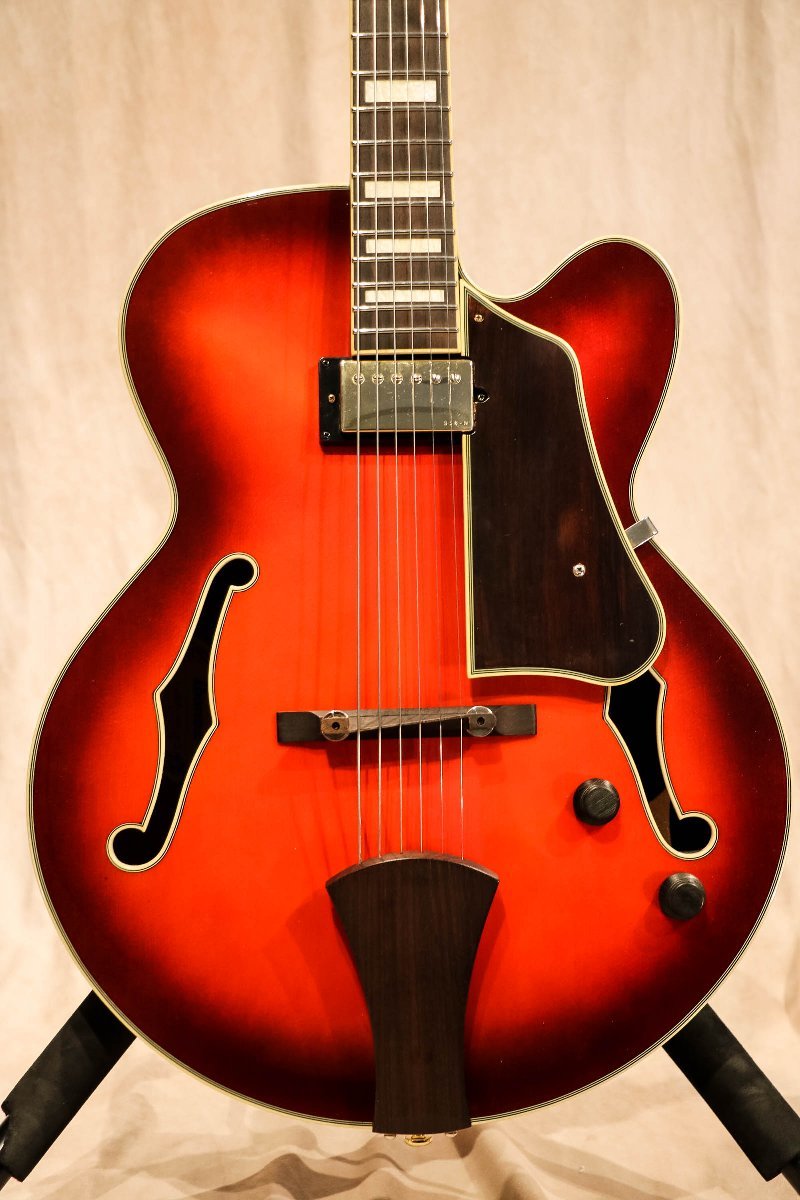 Ibanez afj91-srd フルアコースティックギター エレキギター