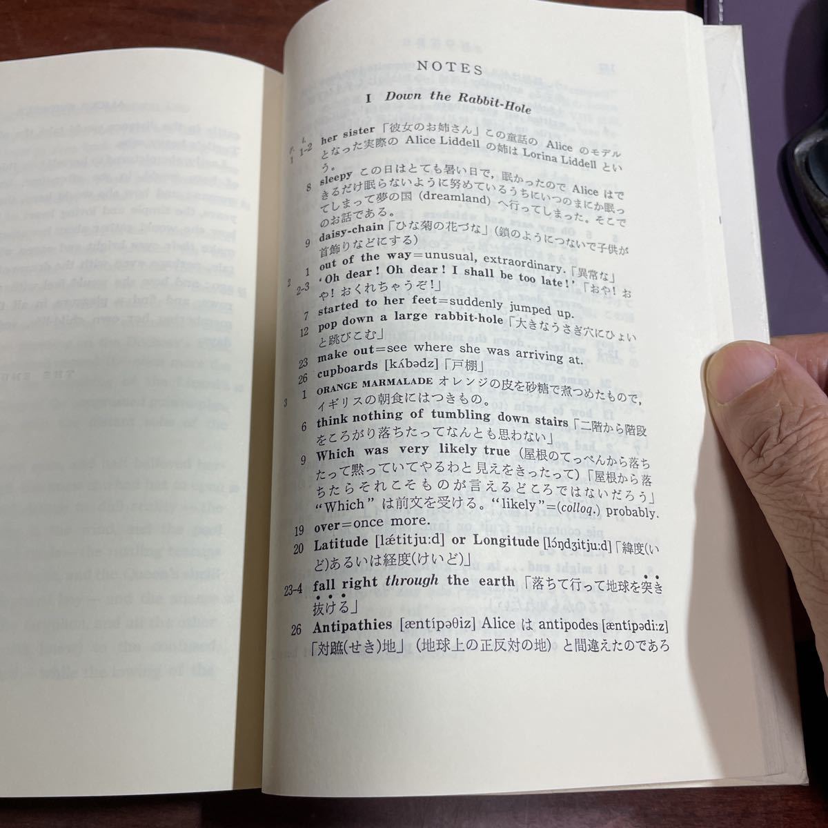 Lewis Carroll ALICE'S ADVENTURES IN WONDERLAND Edited with Notes by Shigeru Watanabe 北星堂　不思議の国のアリス　ルイス・キャロル_画像7
