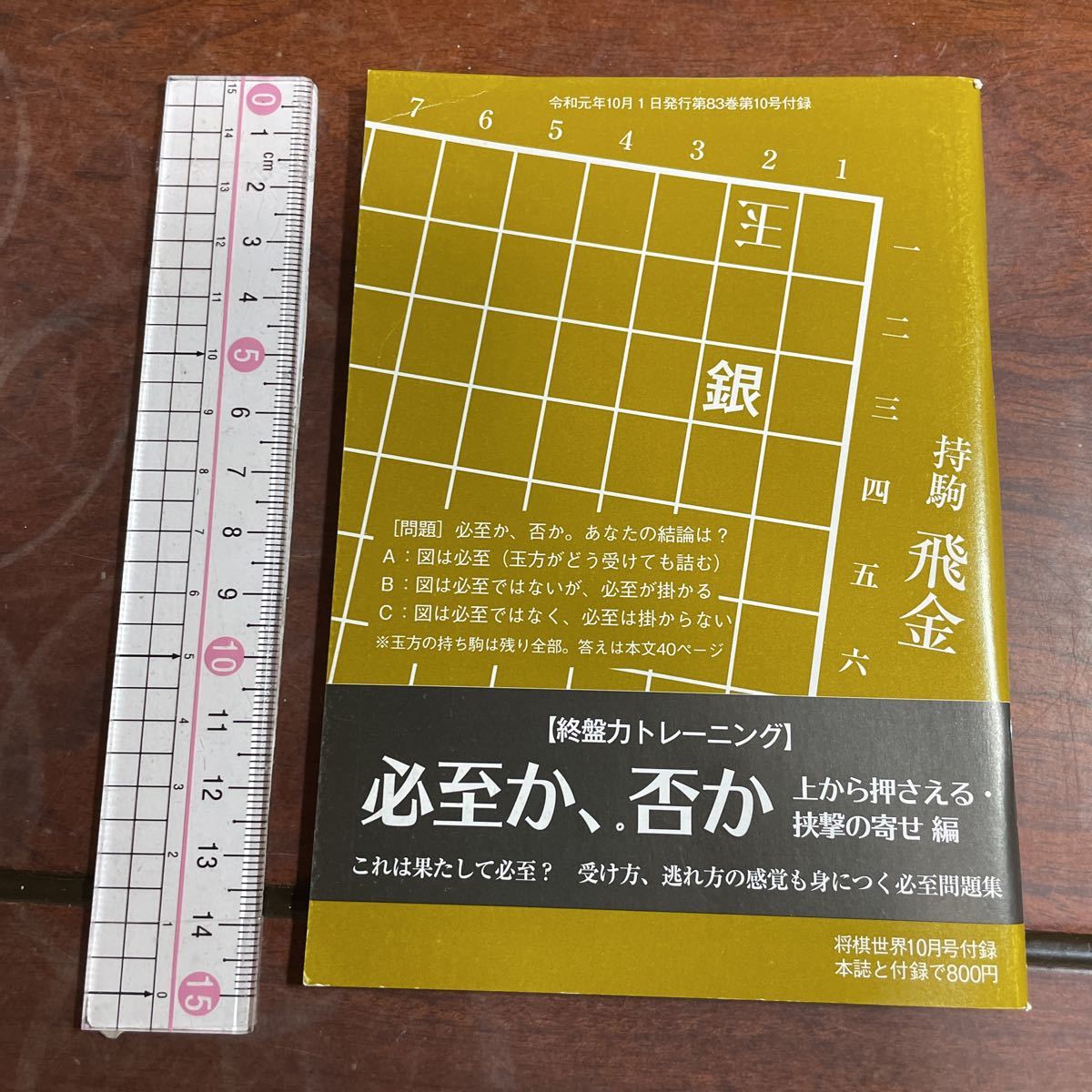  shogi мир дополнение [. запись сила тренировка ] обязательно ..,.. сверху вдавлено ...... .. сборник . мир изначальный год 10 месяц 