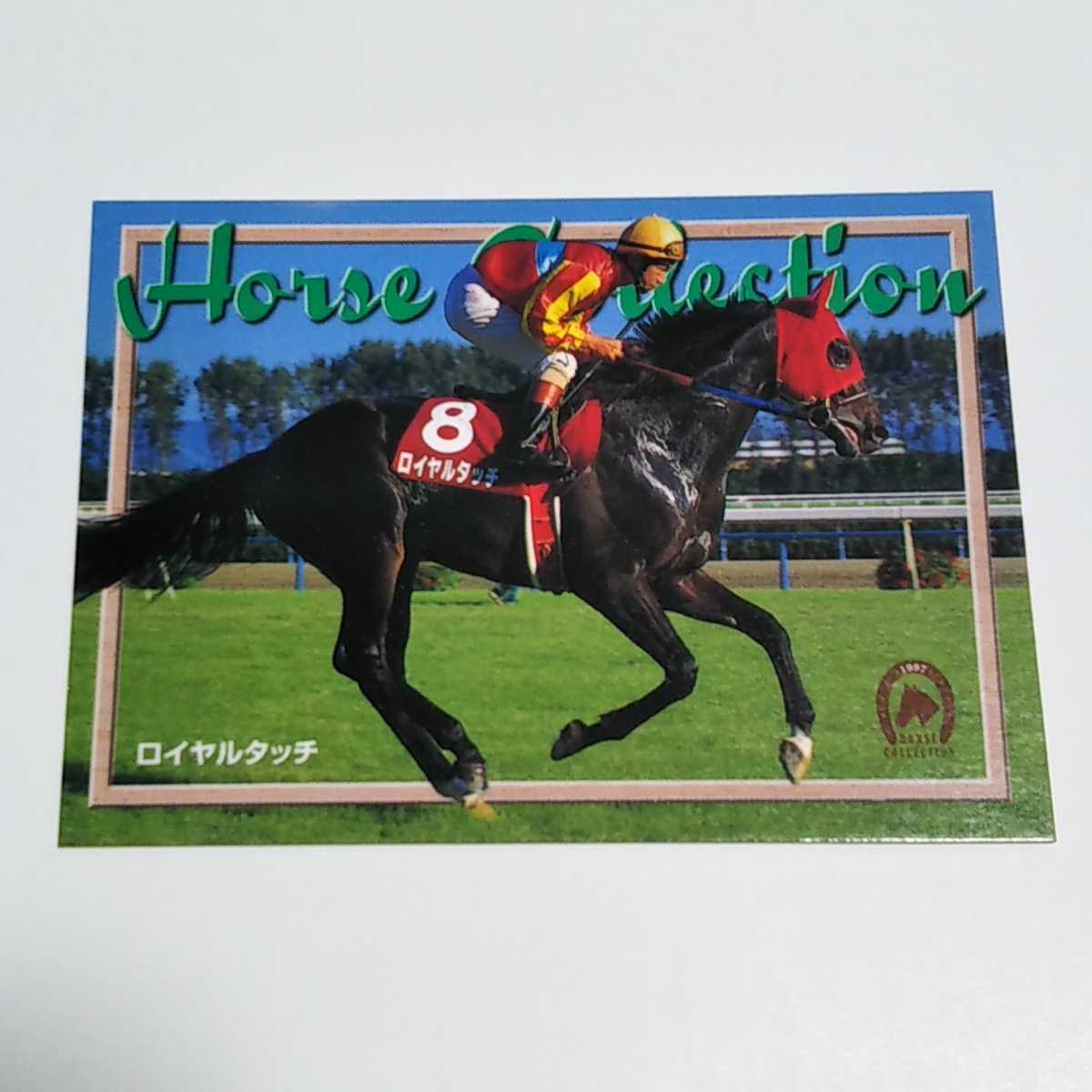 EPOCH 1997 HORSE COLLECTION ロイヤルタッチ 競馬 サンプルカード No.040の画像1