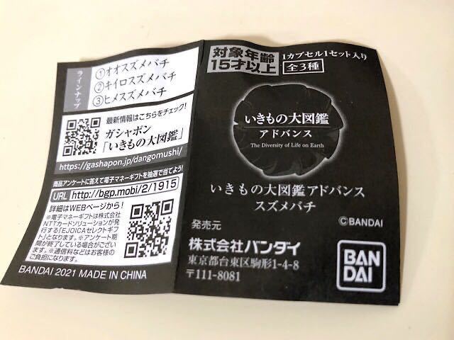 いきもの大図鑑 アドバンス / プレミアムガチャ ☆ キイロ スズメバチ