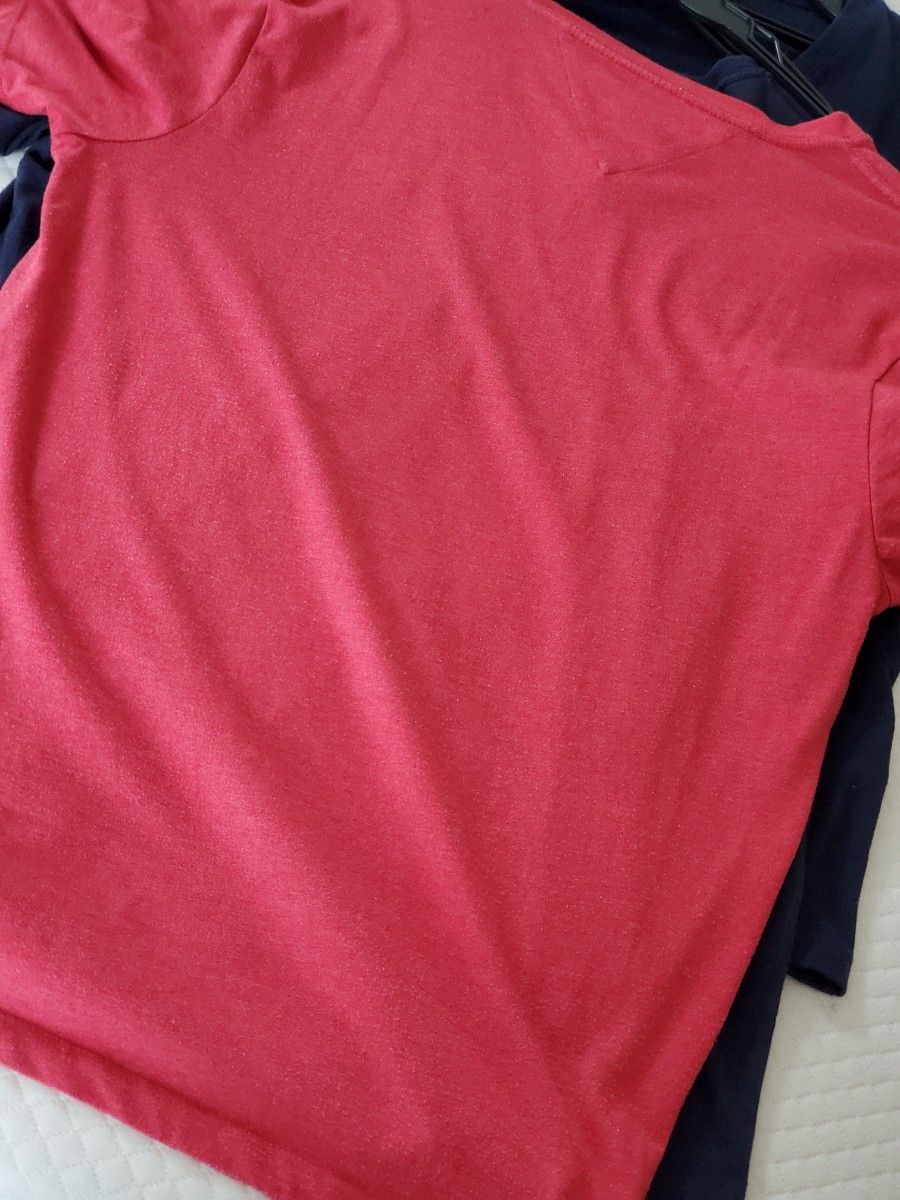 現地購入   トミーヒルフィガー 半袖Tシャツ   綺麗な色です。 L