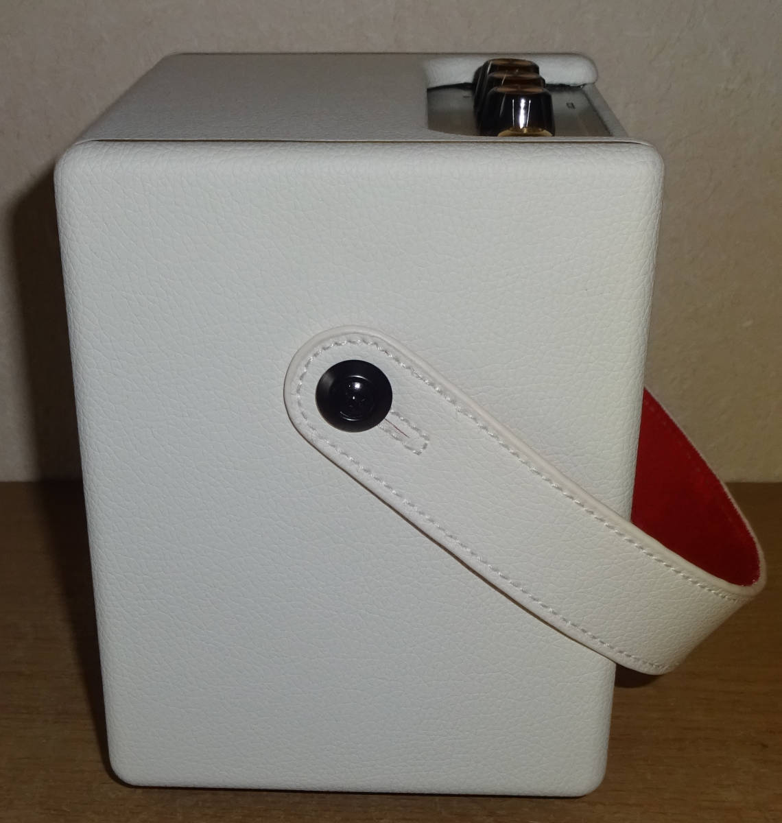 Positive Grid Spark MINI Pearl 美品 | normanhubbard.com