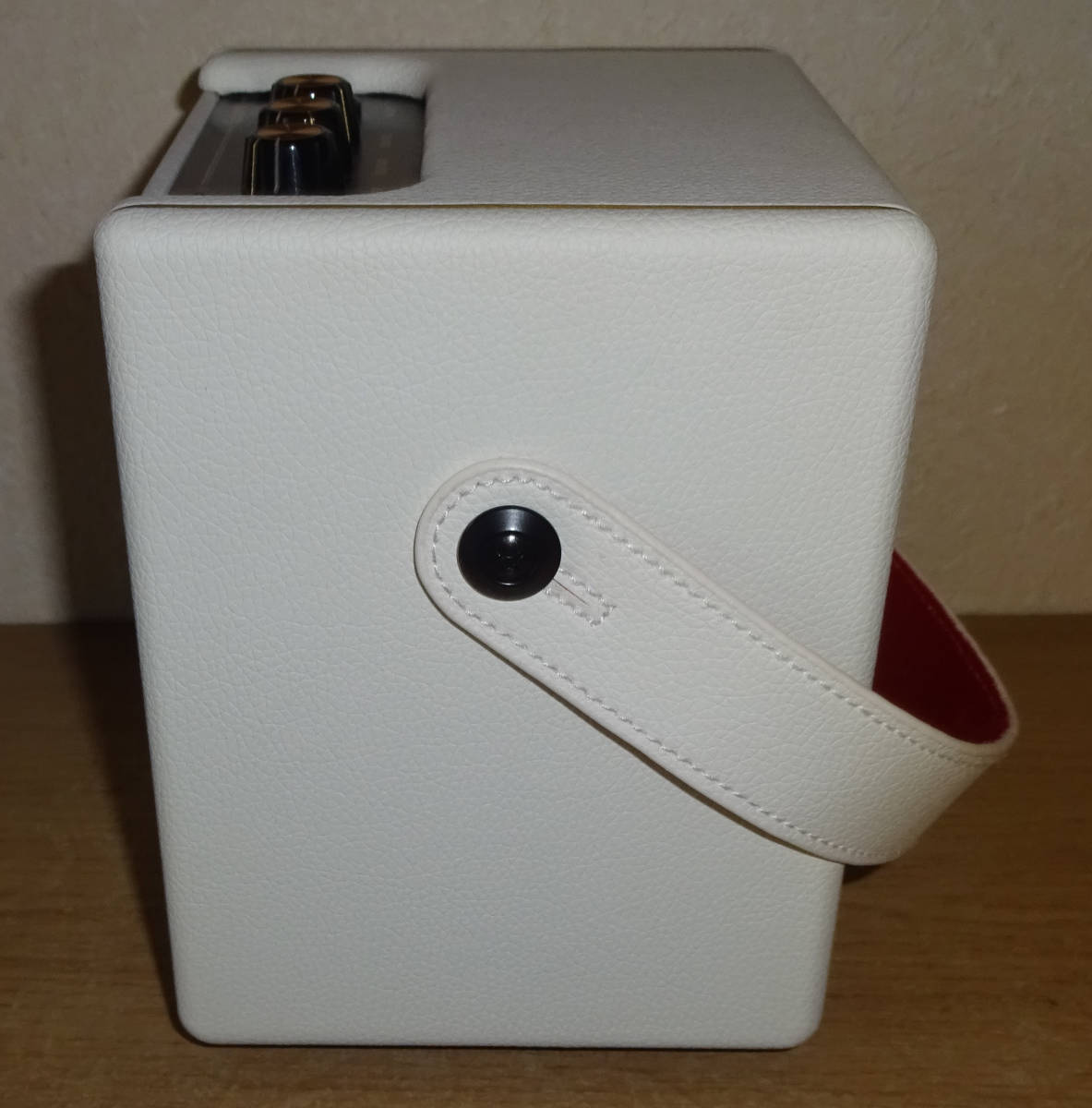 Positive Grid Spark MINI Pearl 美品 | normanhubbard.com