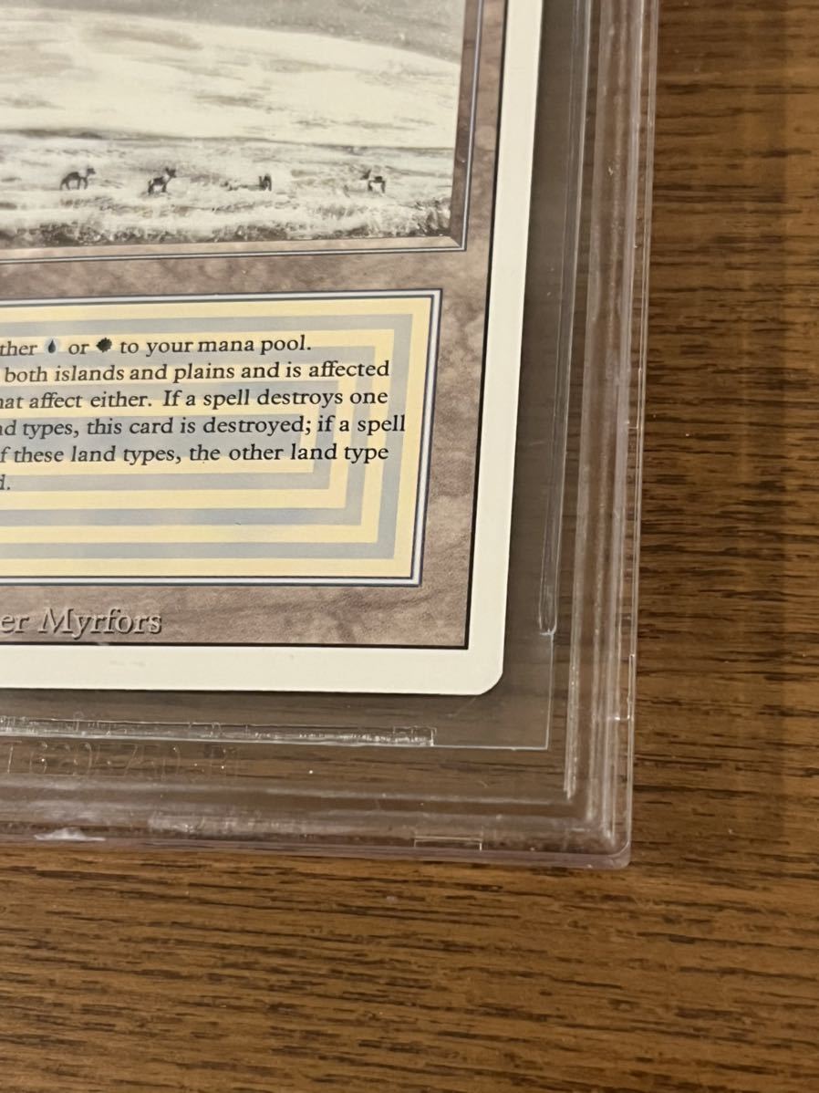 MTG マジック・ザ・ギャザリング Tundra リバイズド 英語 BGS9.5
