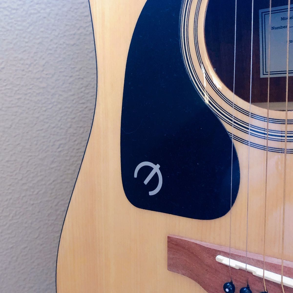 【左利き用】EPIPHONE エピフォン アコースティックギター アコースティックギター