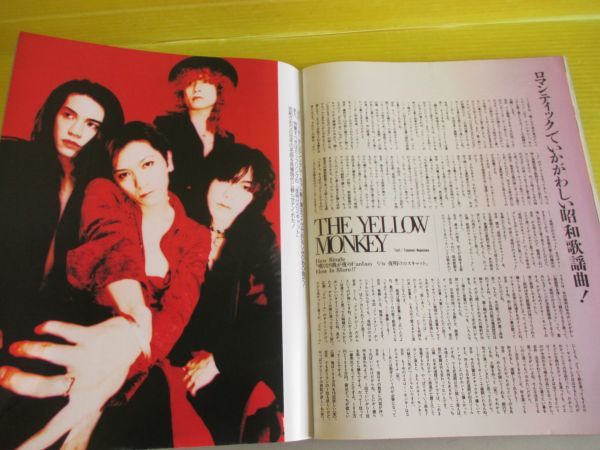 ARENA37℃ アリーナ37℃ No.151 1995年4月号 奥田民生 中山加奈子 VANILLA THE MAD CAPSULE MARKET'S THE YELLOW MONKEY 黒夢_画像8