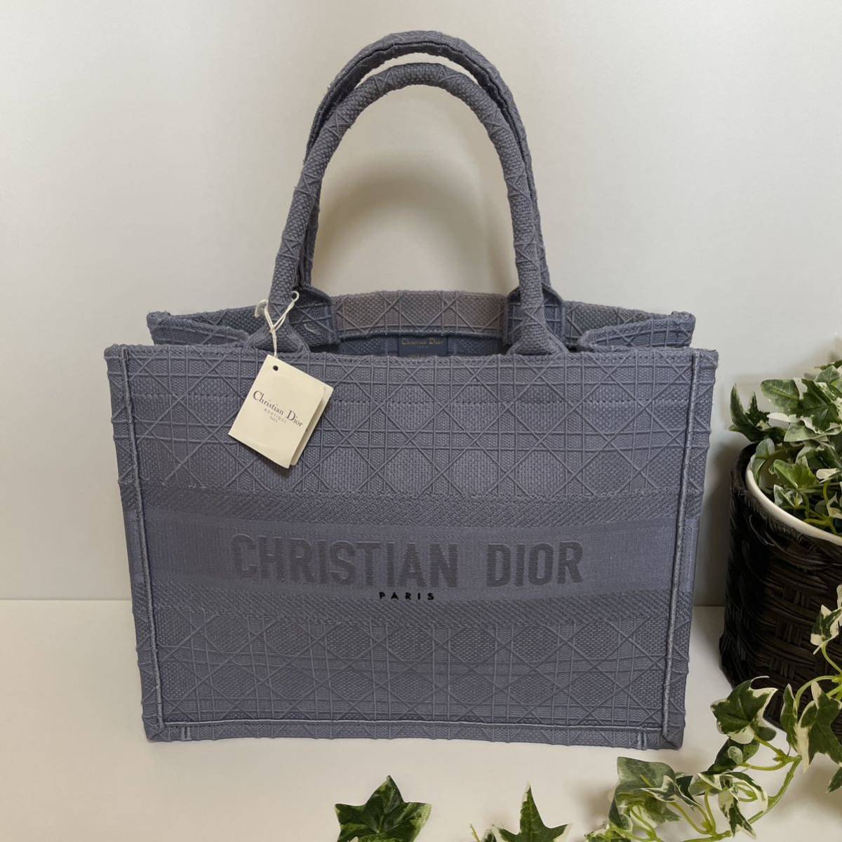 タグ付き 未使用 ディオール ブックトート キャンバス 青 水色 DIOR