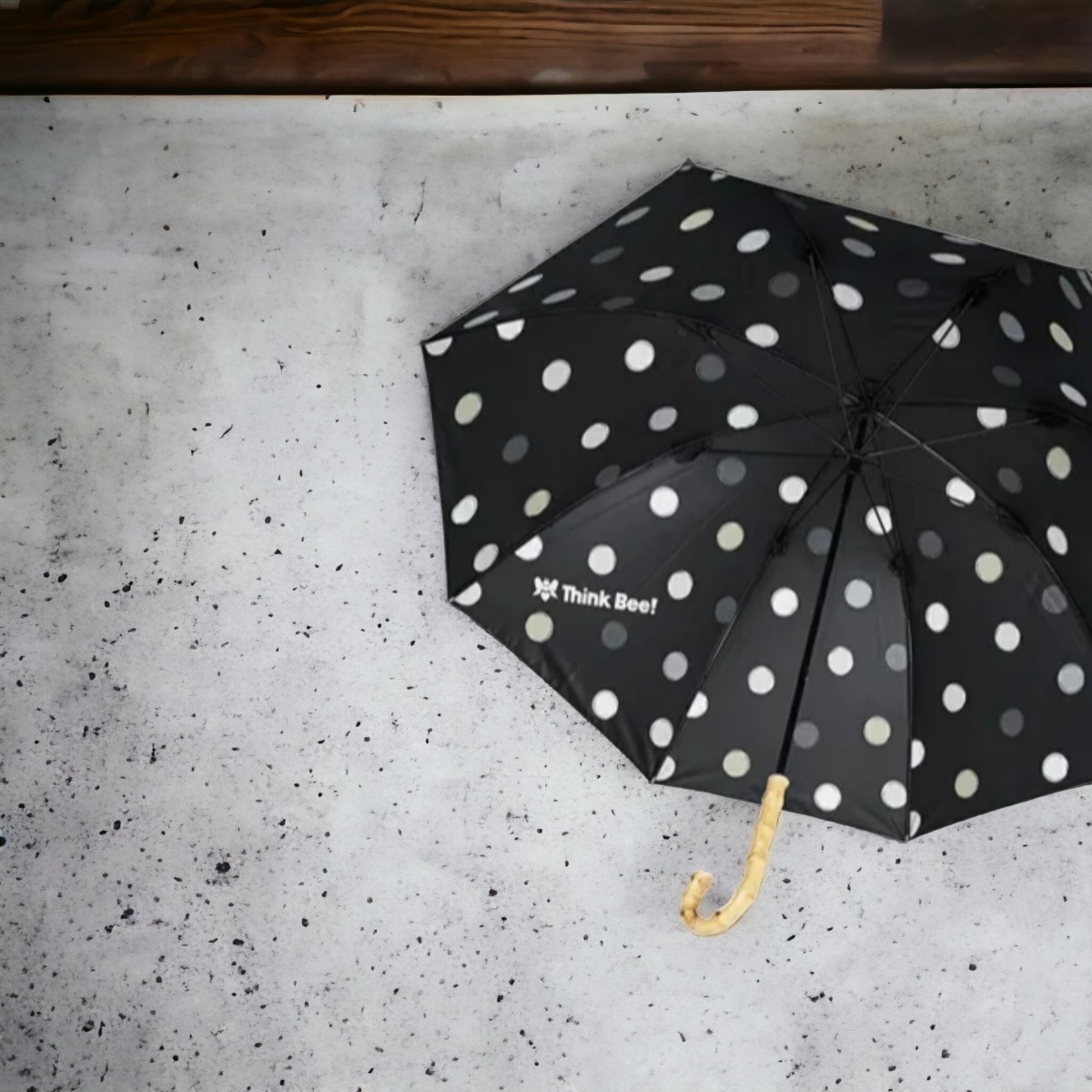  new goods unused!ka Sano va. rain combined use long umbrella (re draw z)