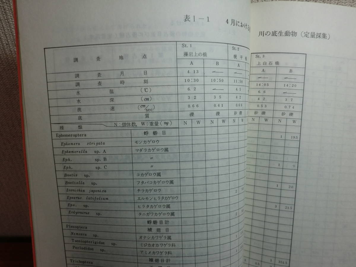 180603I03★ky 希少資料 豊平川魚類生態調査報告書 昭和56年 北海道栽培漁業振興公社 サケ稚魚追跡調査 河川環境 河川生物_画像4