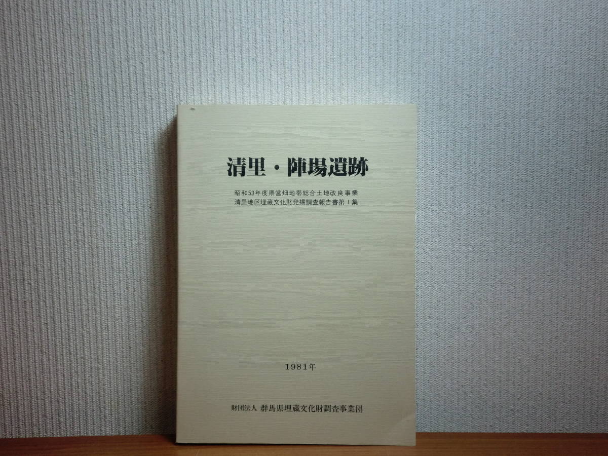 180629J05★ky 清里・陣場遺跡 1981年 群馬県埋蔵文化財調査事業団 古代の遺物 中世の遺物 瓦 緑釉陶器 平安時代の土器 刻書土器 付図2点付_画像1