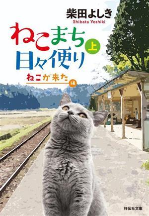 ねこまち日々便り(上) ねこが来た編 祥伝社文庫／柴田よしき(著者)_画像1