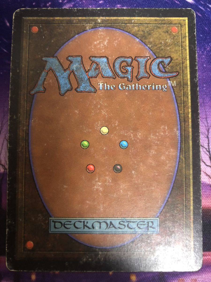 MTG/Tropical Island/3ED/英語 | visaliariverrock.com