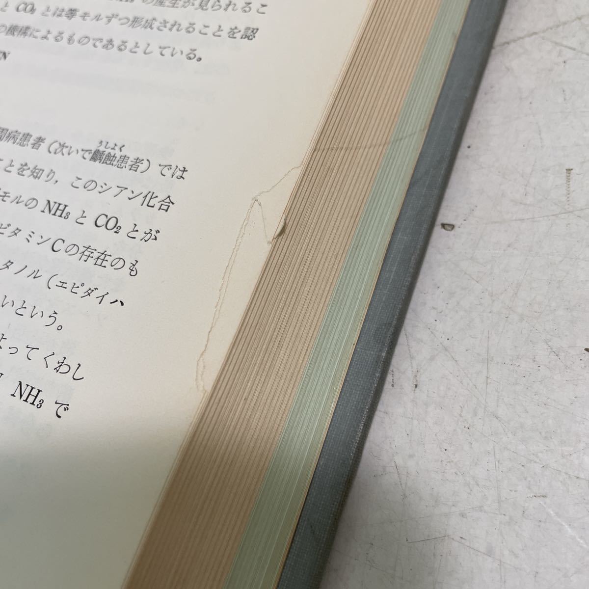 item_image_10
