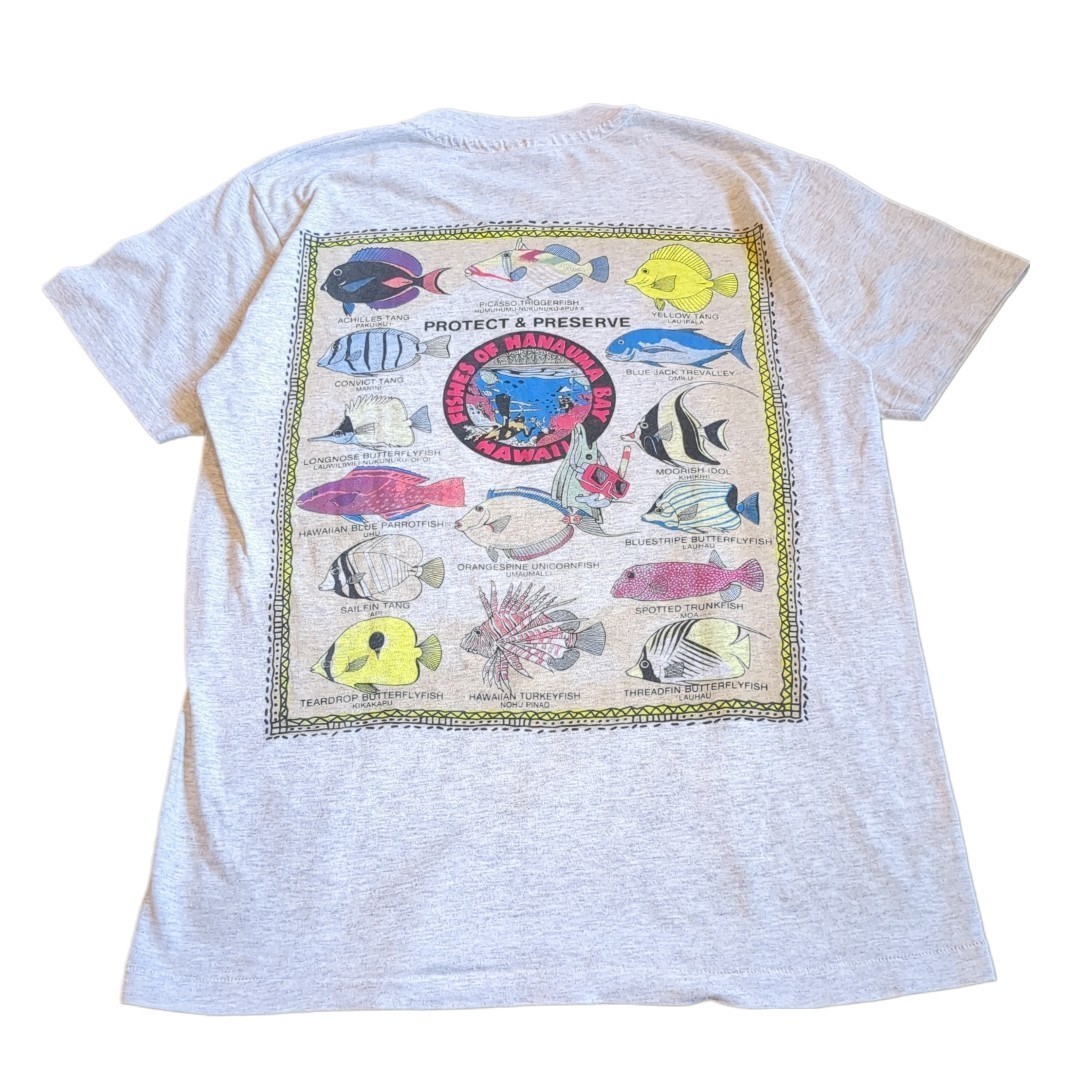 Haynes Tシャツ 90s ヴィンテージ ダイビング アクアラング 熱帯魚