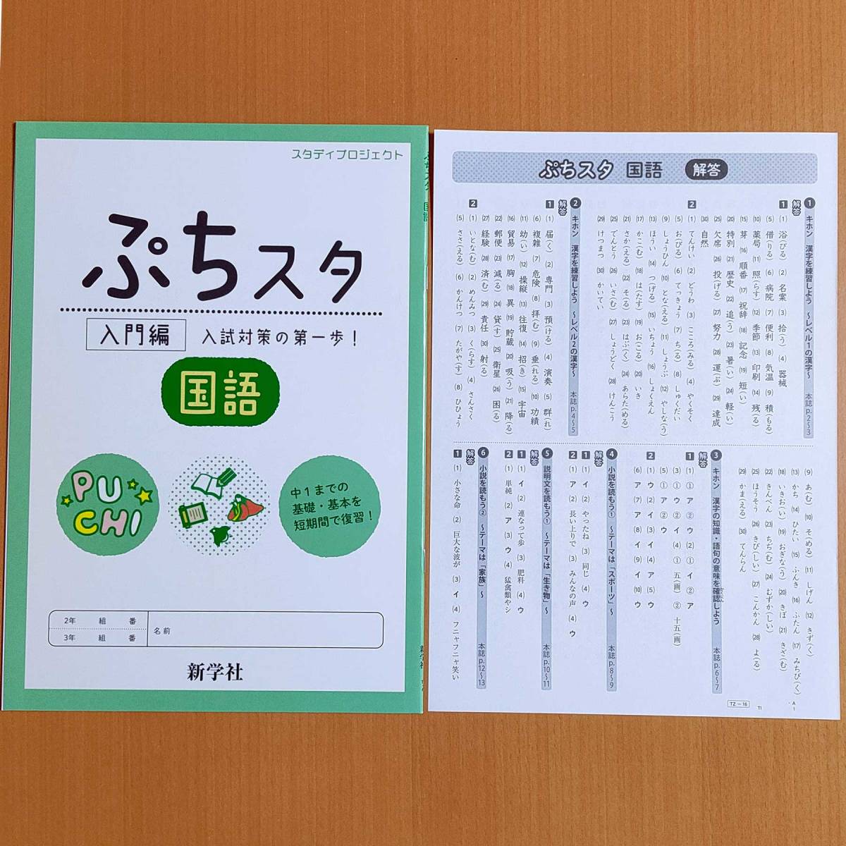 新学習指導要領対応「スタディプロジェクト スタプロ 国語」新学社 高校入試 要点ガイド ぷちスタ キースタディ スタートスタディ/_画像8